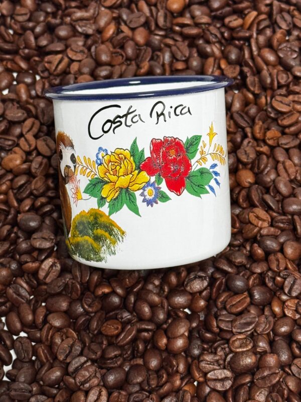 Costa Rica Coffee Bundle - Image 3